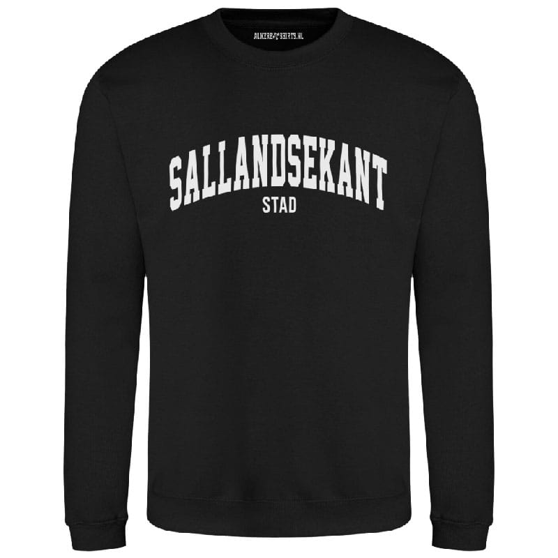 SALLANDSEKANT sweater